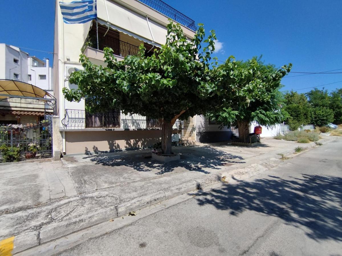 Voulas Guest House Volos Eksteriør bilde